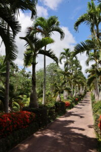 東南植物楽園