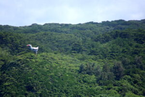 辺戸岬