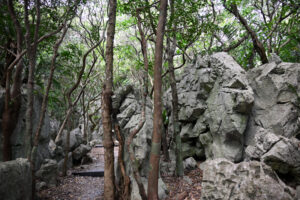 アスムイハイクス