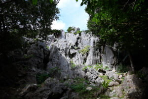 アスムイハイクス