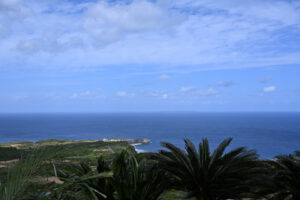 アスムイハイクス